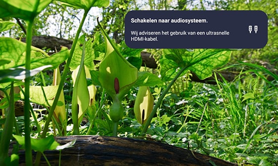 Philips oplossing gebruik ultrasnelle HDMI-kabel