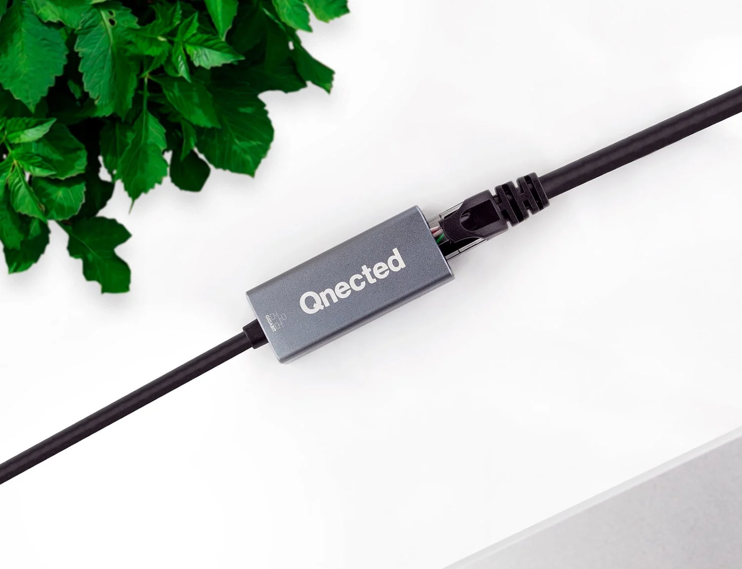 Qnected Cat 6 UTP ethernetkabel 5 meter